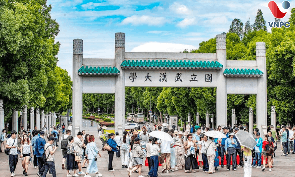 Đại Học Vũ Hán: Điều Kiện, Học Phí Và Học Bổng Mới Nhất